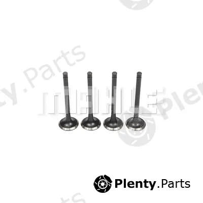 Mahle VE0631406 — Exhaust Valve