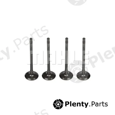 Mahle VE0251615 — Exhaust Valve