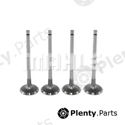 Mahle VA0440578 — Intake Valve