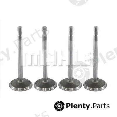 Mahle VA0590044 — Intake Valve