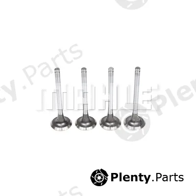 Mahle VE0140113 — Exhaust Valve