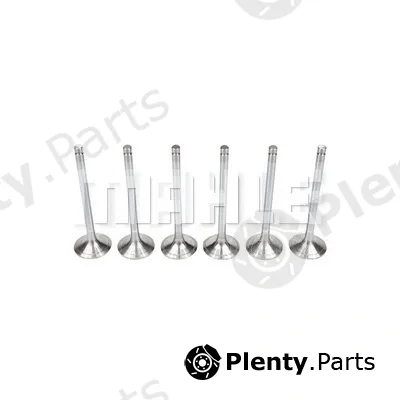 Mahle VA0480091 — Intake Valve