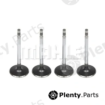 Mahle VA0141705 — Intake Valve