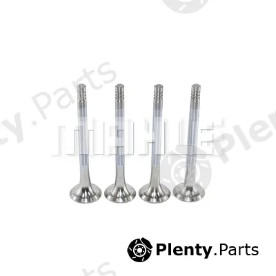 Mahle VE0700021 — Exhaust Valve