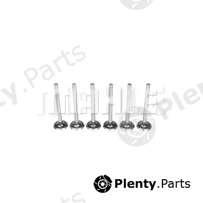 Mahle VE0230118 — Exhaust Valve
