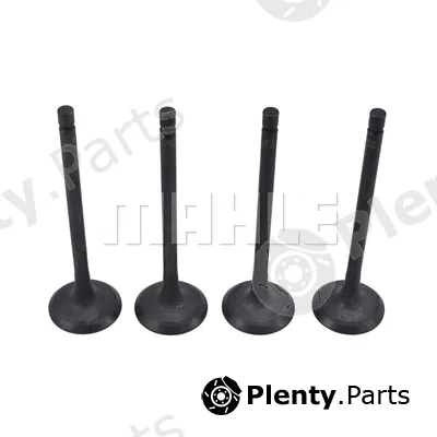 Mahle VA0631758 — Intake Valve
