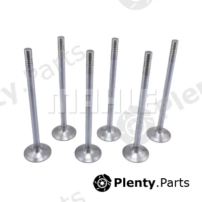 Mahle VA0461734 — Intake Valve