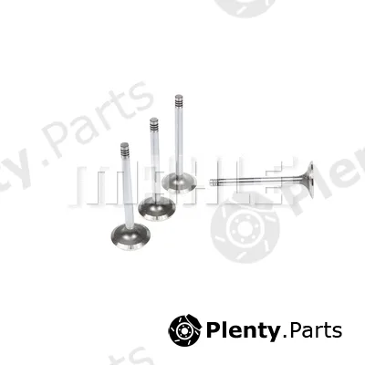 Mahle VA0570657 — Intake Valve