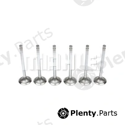 Mahle VA0480080 — Intake Valve