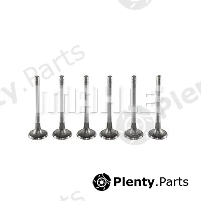 Mahle VE0130010 — Exhaust Valve