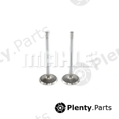 Mahle VE0130100 — Exhaust Valve