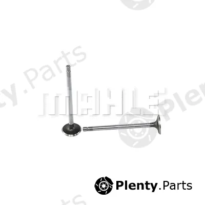Mahle VE0140014 — Exhaust Valve
