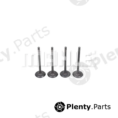 Mahle VA0631640 — Intake Valve