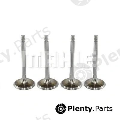 Mahle VA0700088 — Intake Valve