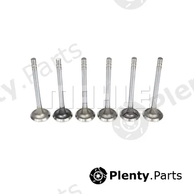 Mahle VE014010915 — Exhaust Valve