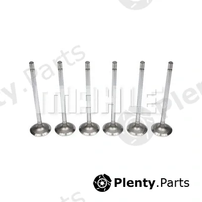 Mahle VA0381699 — Intake Valve