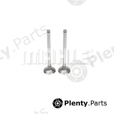 Mahle VE0060907 — Exhaust Valve