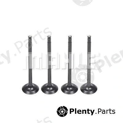 Mahle VA0031617 — Intake Valve