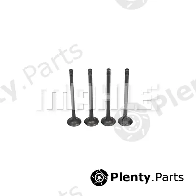 Mahle VE0591472 — Exhaust Valve