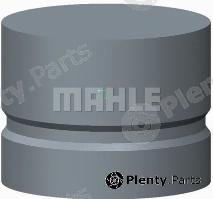 Mahle 029VS91201000 — Tappet