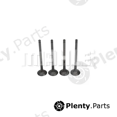Mahle VE0631454 — Exhaust Valve