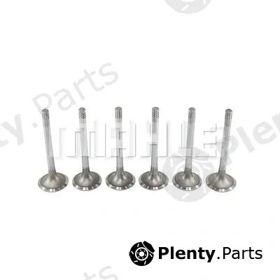 Mahle VE0210443 — Exhaust Valve