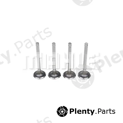 Mahle VA0700061 — Intake Valve