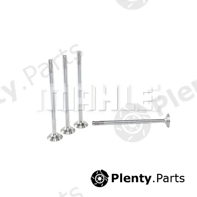Mahle VE0140025 — Exhaust Valve