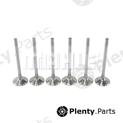 Mahle VA0210153 — Intake Valve