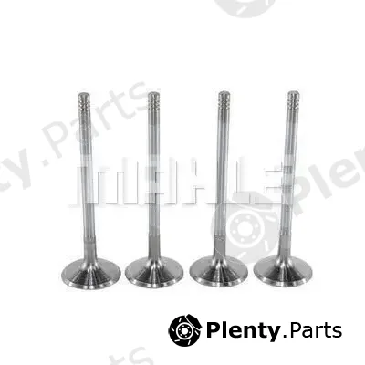 Mahle VA0140072 — Intake Valve