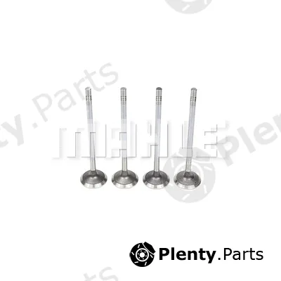 Mahle VE0011616 — Exhaust Valve