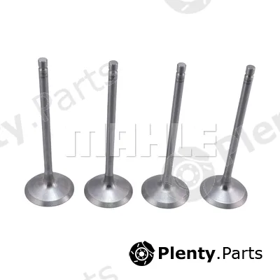 Mahle VA0441689 — Intake Valve