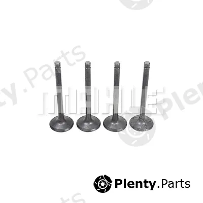 Mahle VE2110188 — Exhaust Valve