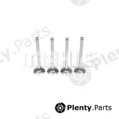 Mahle VE0180424 — Exhaust Valve