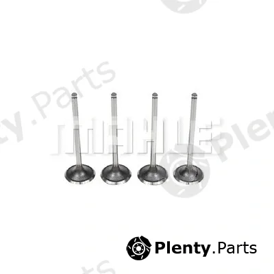 Mahle VA0440561 — Intake Valve