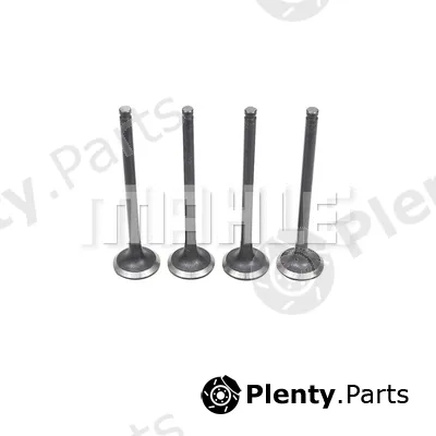Mahle VE1950224 — Exhaust Valve