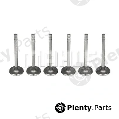 Mahle VA014011015 — Intake Valve