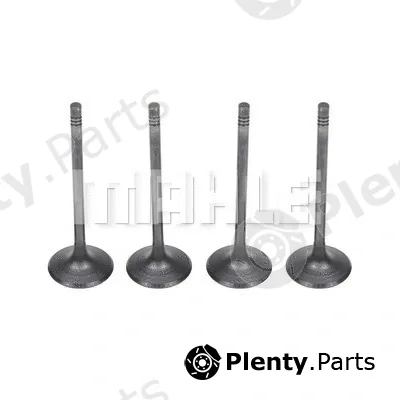Mahle VA0141575 — Intake Valve