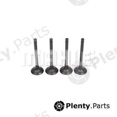 Mahle VE0630241 — Exhaust Valve