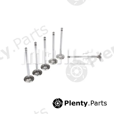 Mahle VA0211371 — Intake Valve