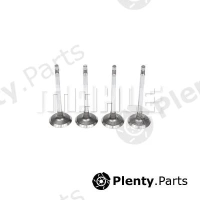 Mahle VE0141706 — Exhaust Valve