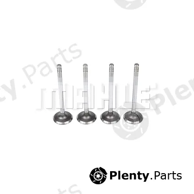 Mahle VA0590181 — Intake Valve