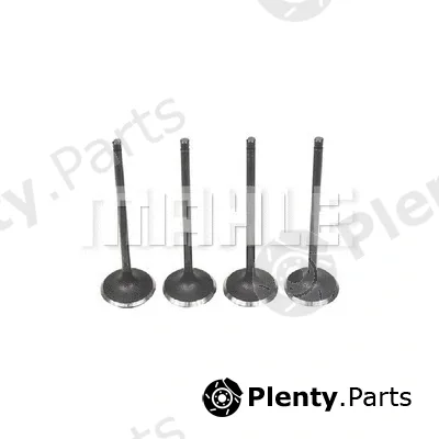 Mahle VA0590255 — Intake Valve