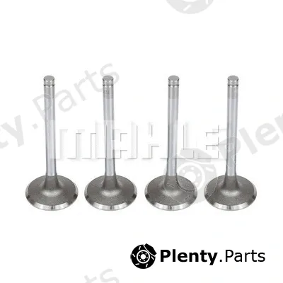 Mahle VA0140114 — Intake Valve