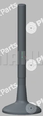 Mahle 029VA91201000 — Exhaust Valve