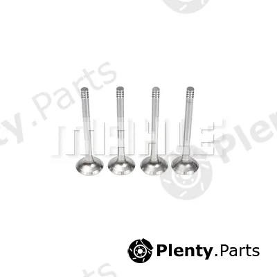 Mahle VE0700081 — Exhaust Valve