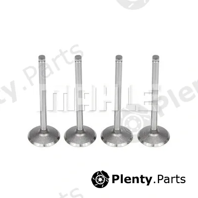 Mahle VA0180395 — Intake Valve