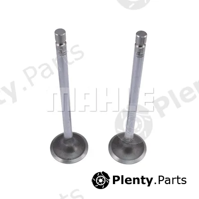 Mahle VA0210442 — Intake Valve