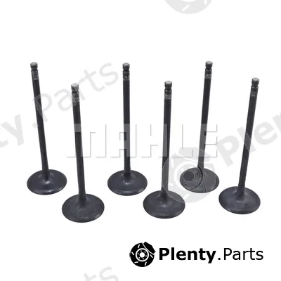Mahle VA0031760 — Intake Valve