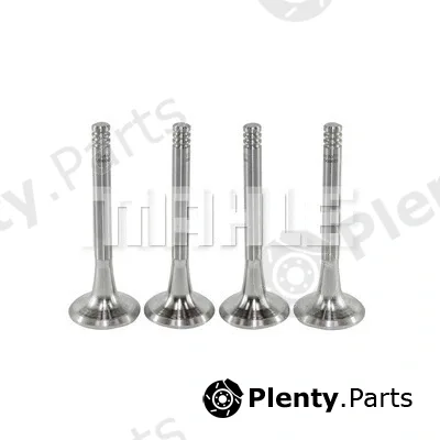 Mahle VE0590065 — Exhaust Valve